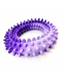 Hračka pes Kruh s bodlinami plávacie 14cm SP