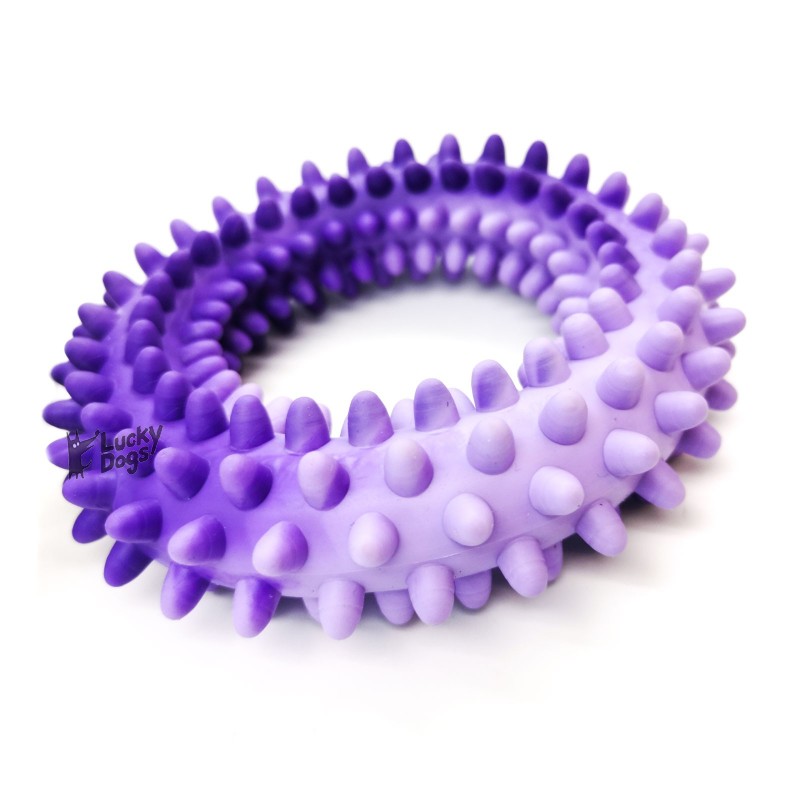 Hračka pes Kruh s bodlinami plávacie 14cm SP