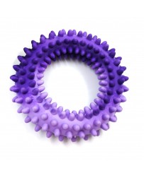 Hračka pes Kruh s bodlinami plávacie 14cm SP