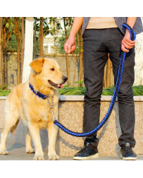 LuckyDogs Fila vodiace set - čierna modrá S 25-30cm