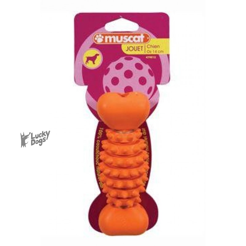 Hračka pes kosť BONE tvrdá guma 14cm mix farieb Zolux